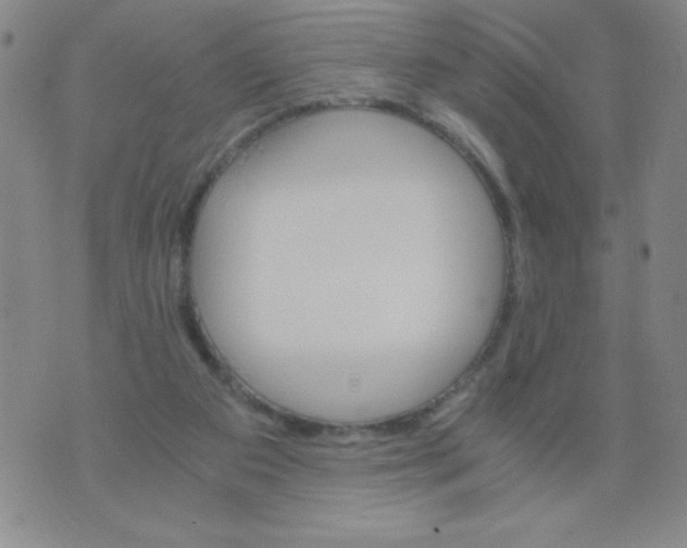 X0000075920113200610062217