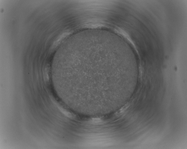 X0000075920114200610062217