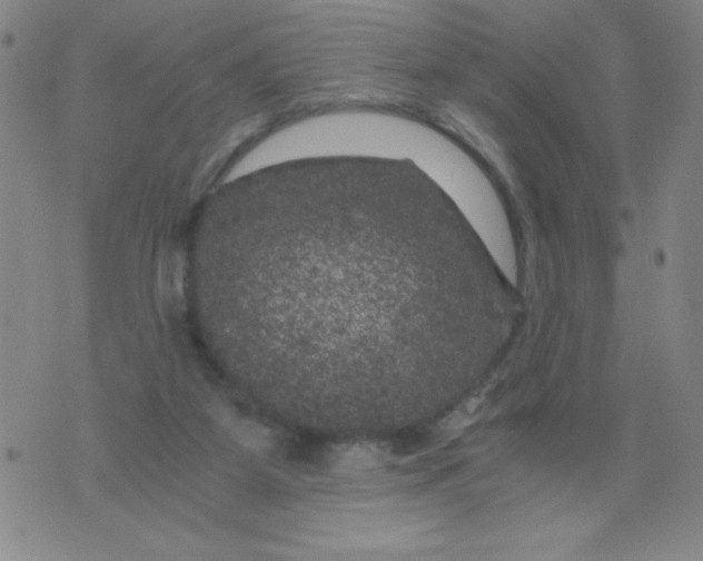 X0000075920115200610062217