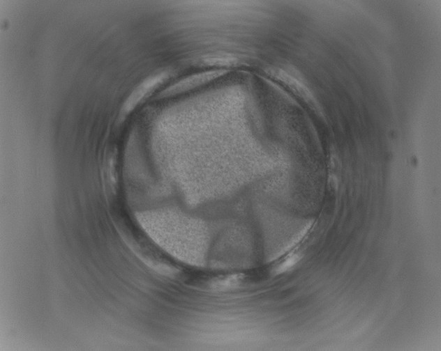 X0000075920116200610062217