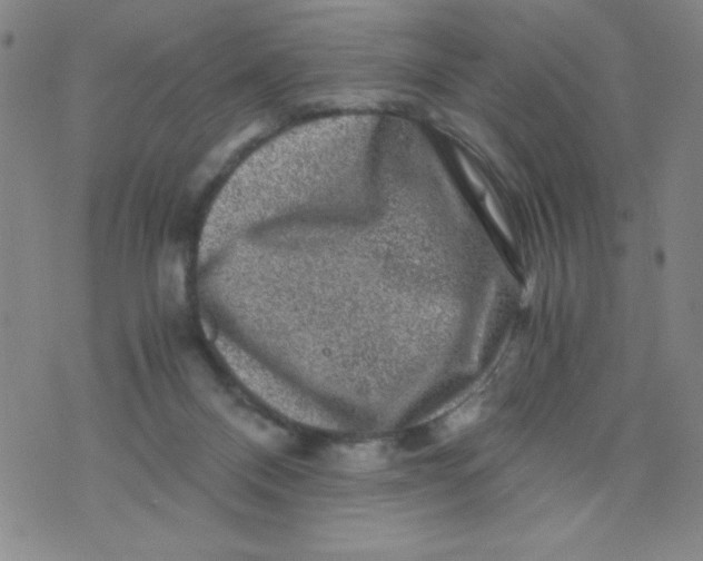 X0000075920120200610062217