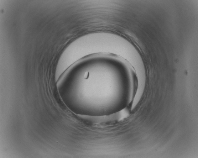 X0000075920121200610062217