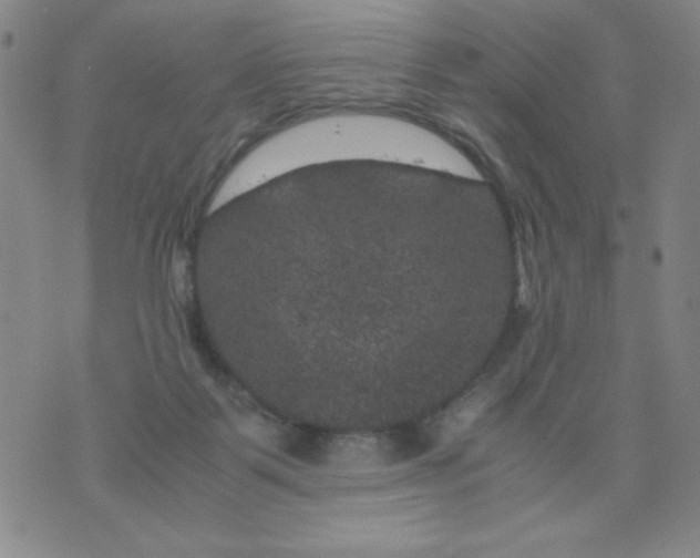 X0000075920123200610062217