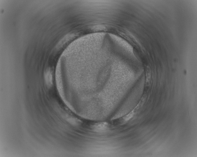 X0000075920124200610062217