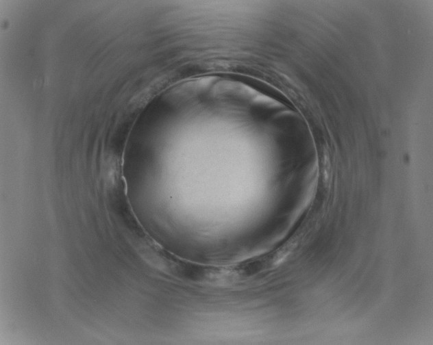 X0000075920125200610062217