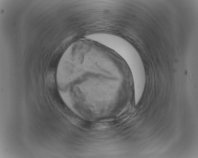 X0000075920127200610062217