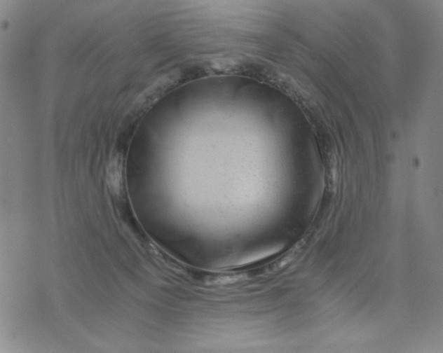 X0000075920129200610062217