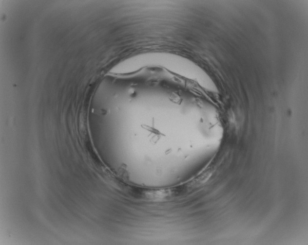 X0000075920131200610062217