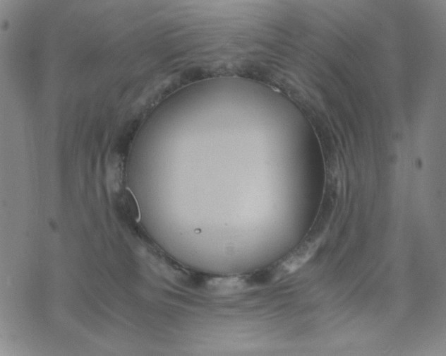 X0000075920133200610062217