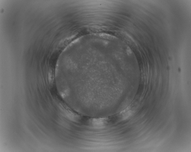 X0000075920134200610062217