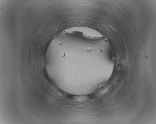 X0000075920135200610062217