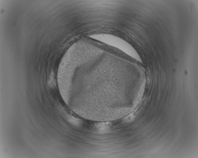 X0000075920136200610062217