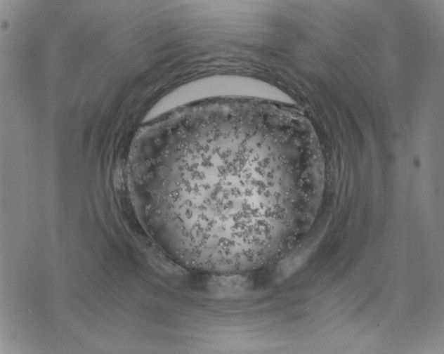 X0000075920137200610062217