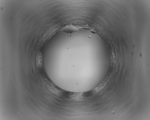 X0000075920138200610062217