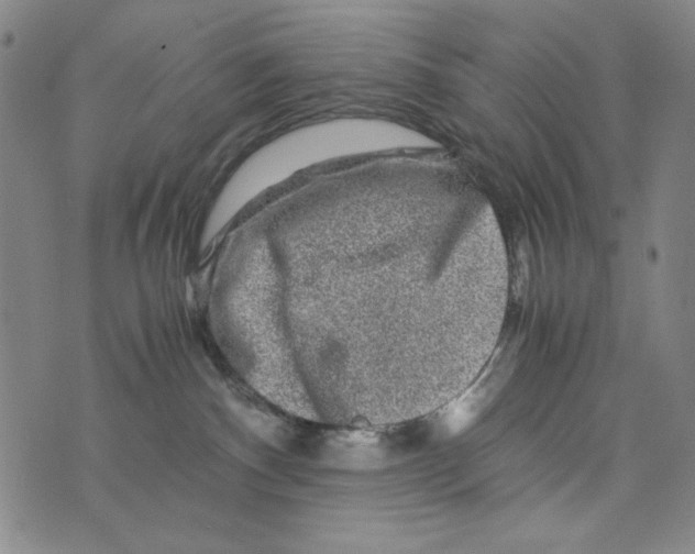 X0000075920140200610062217