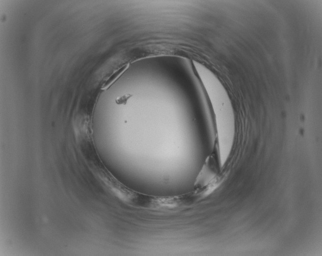 X0000075920141200610062217