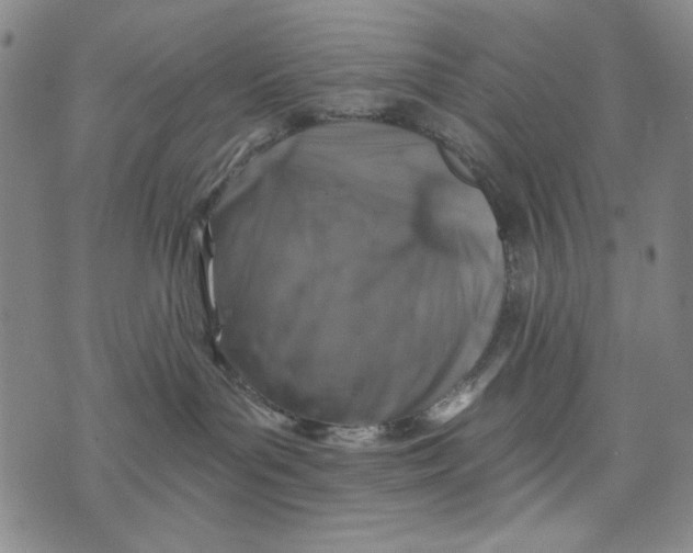 X0000075920143200610062217