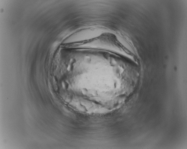 X0000075920145200610062216