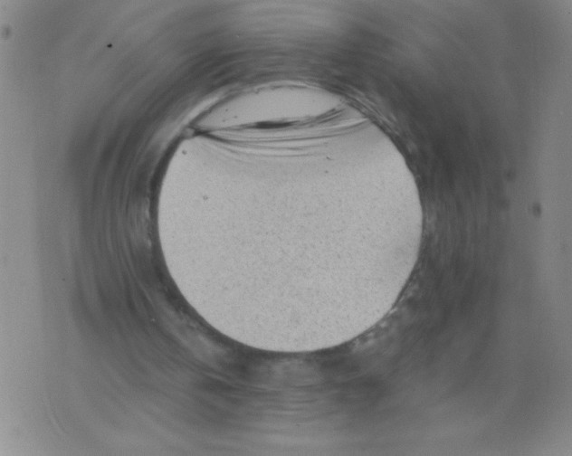 X0000075920146200610062216