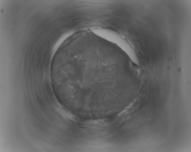 X0000075920147200610062216