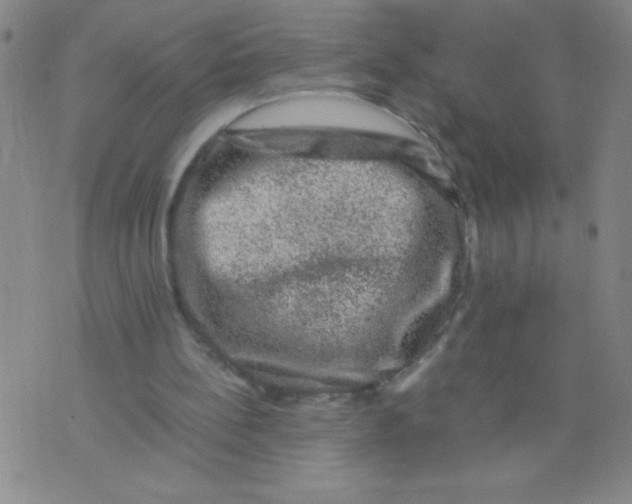 X0000075920148200610062216