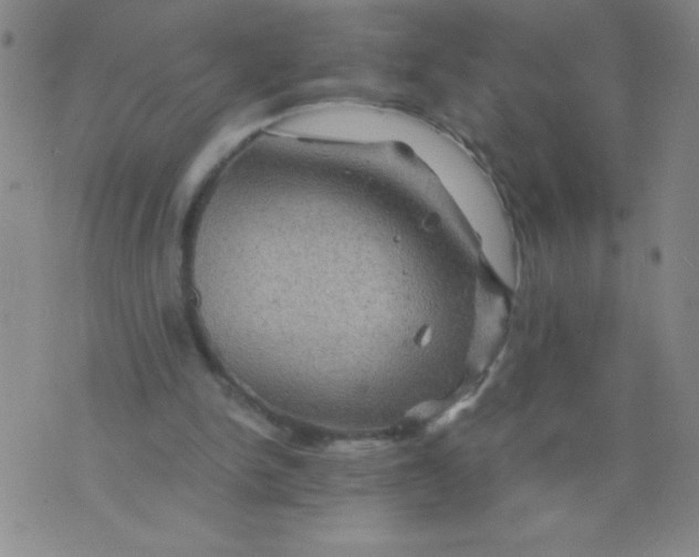 X0000075920150200610062216