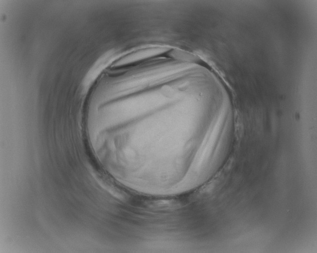 X0000075920151200610062216