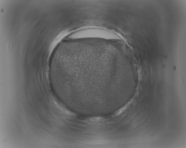 X0000075920152200610062216