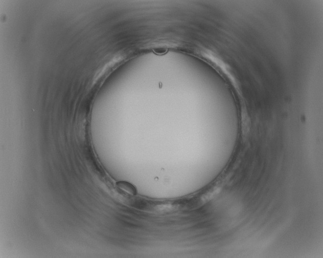 X0000075920153200610062216