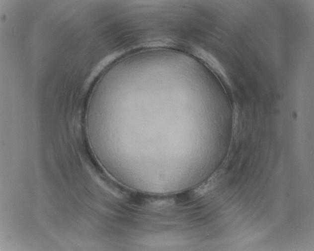 X0000075920155200610062216