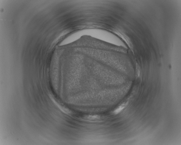 X0000075920157200610062216