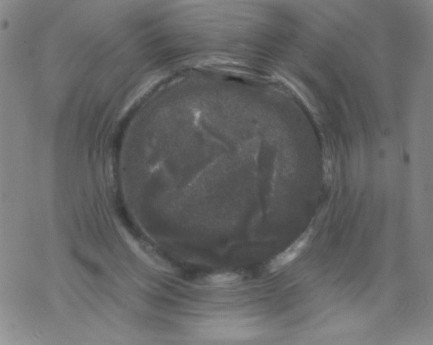 X0000075920158200610062216