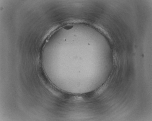 X0000075920159200610062216