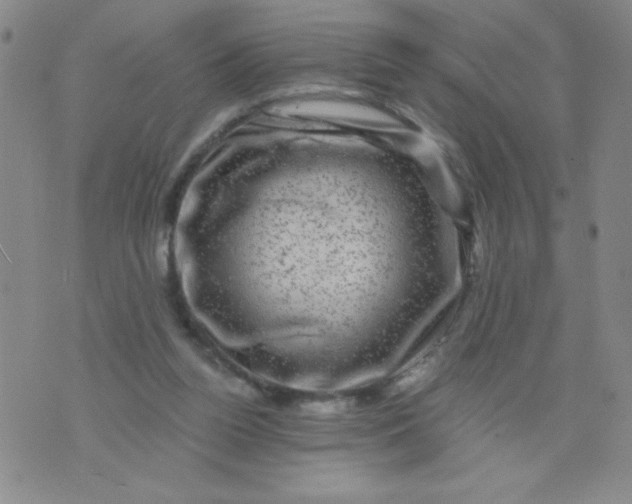 X0000075920160200610062216