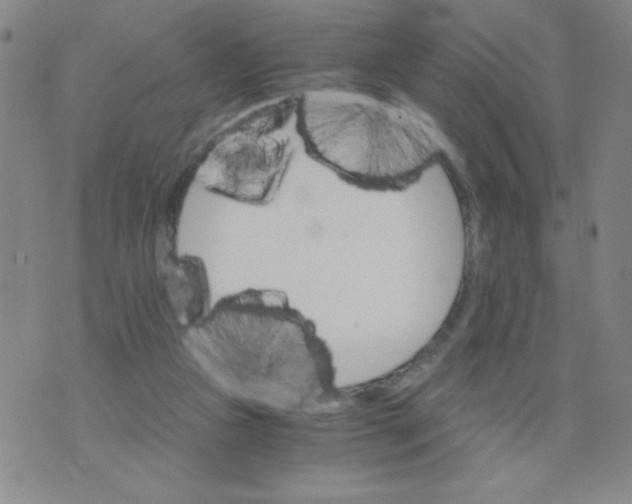 X0000075920161200610062216