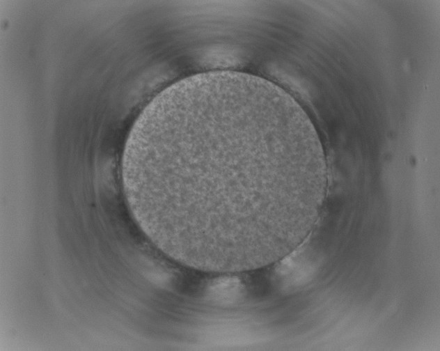 X0000075920162200610062216