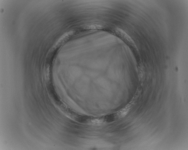 X0000075920163200610062216