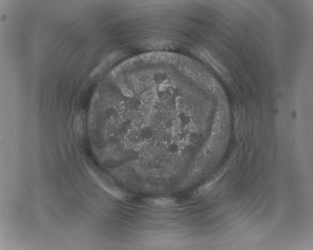 X0000075920165200610062216