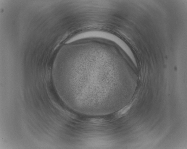 X0000075920168200610062216