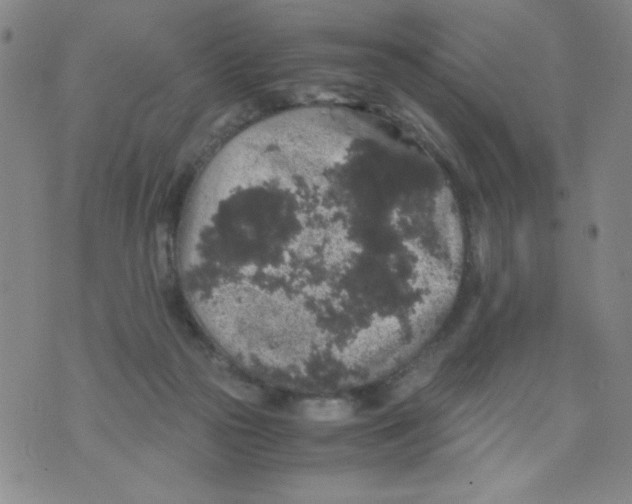 X0000075920169200610062216