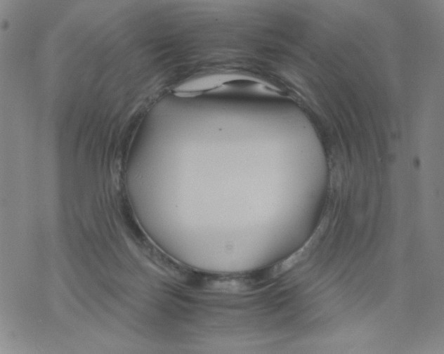 X0000075920171200610062216