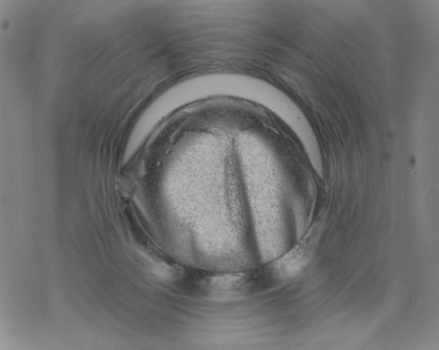 X0000075920172200610062216