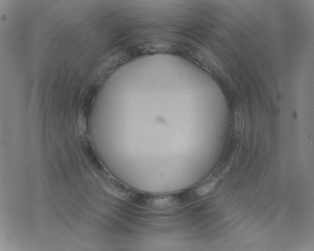 X0000075920173200610062216