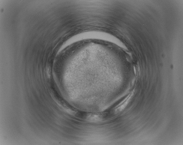 X0000075920174200610062216