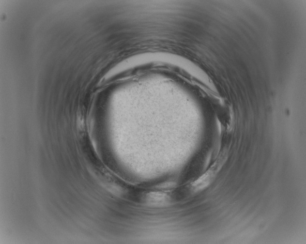 X0000075920176200610062216