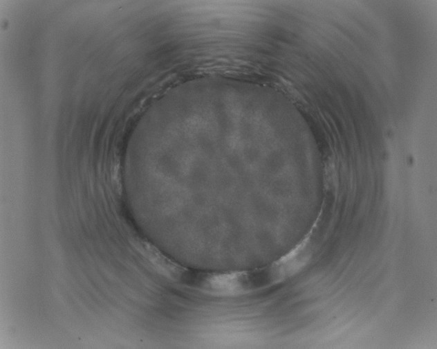 X0000075920178200610062217