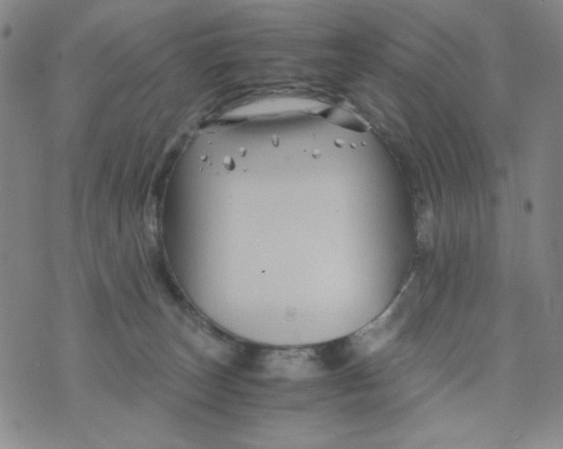 X0000075920179200610062217