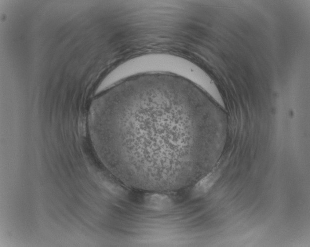 X0000075920180200610062217