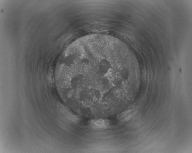 X0000075920181200610062217