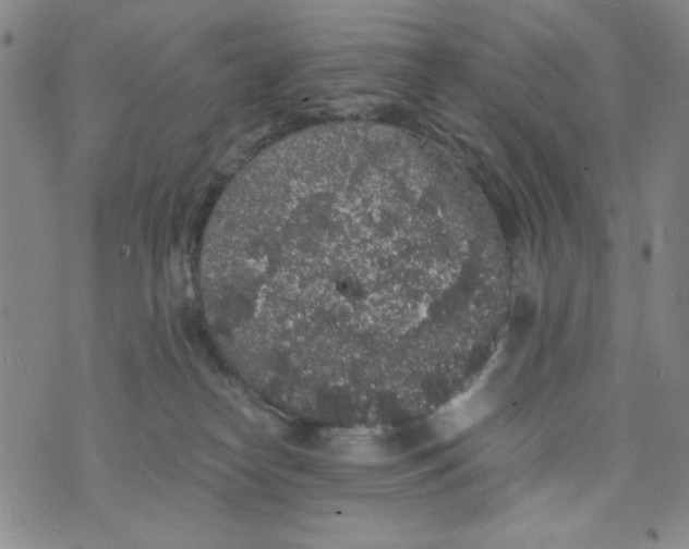 X0000075920182200610062217